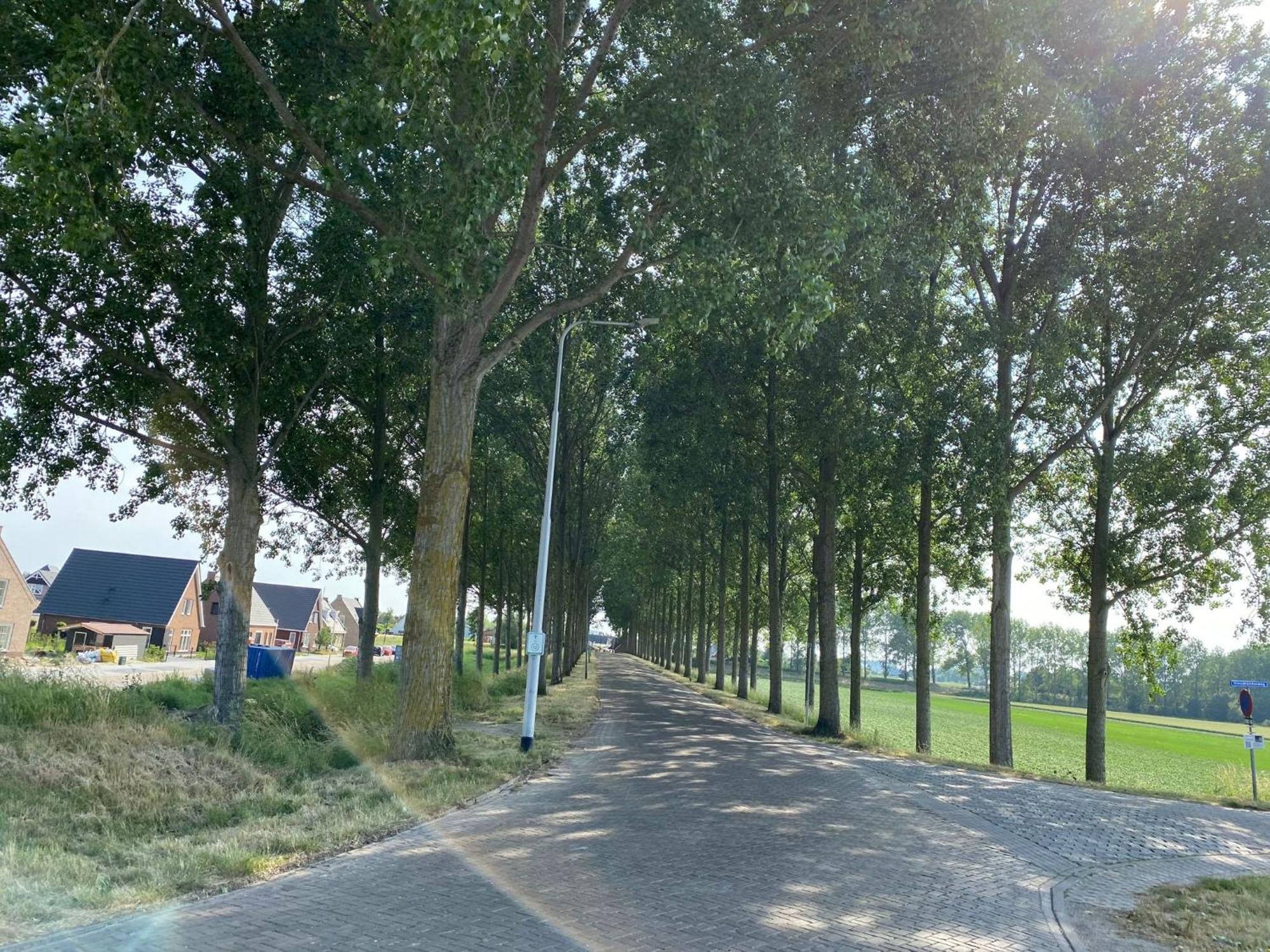 Huisje In Zeeland Helemaal Gerenoveerd 圣安娜兰 外观 照片